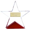 6 Inch Fire Star Crystal Award