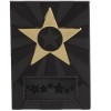 4 Inch Apex Star Award Plaque