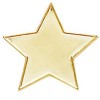 20mm Gold Star Lapel Style Badge