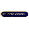  Blue Student Council Lapel Badge