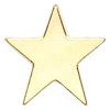 16mm Gold Star Simple Lapel Badge