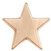 16mm Bronze Simple Star Lapel Badge
