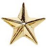 12mm Gold Star Imprinted Lapel Badge