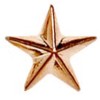 12mm Bronze Imprinted Star Lapel Badge