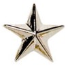 8mm Silver Star Detailed Lapel Badge