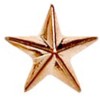 8mm Bronze Detailed Star Lapel Badge