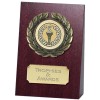 3 Inch Free Standing Wedge Plaque Award
