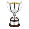 10 Inch Gold Inside Classic Cup Prestige Trophy Cup