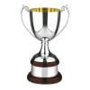 13 Inch Gold Inside Classic Cup Prestige Trophy Cup