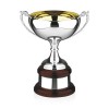 10 Inch Gold Inside Bowl Prestige Trophy Cup