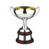 11 Inch Gold Inside Bowl Prestige Trophy Cup