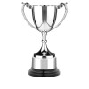 7 Inch Leaf Handle & Black Finish Base Endurance Trophy Cup