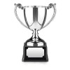 8 Inch Leaf Handled Short Stem Endurance Trophy Cup