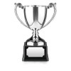 12 Inch Leaf Handled Short Stem Endurance Trophy Cup