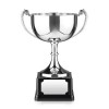 12 Inch Fluted Stem & Wide Bowl Endurance Trophy Cup
