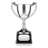 8 Inch Decorative Leaf Design Handle Endurance Trophy Cup