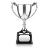 10 Inch Decorative Leaf Design Handle Endurance Trophy Cup