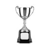 9 Inch Old English Style Handle Endurance Trophy Cup