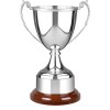 10 Inch Decorative Rim & Wooden Plinth Celtic Trophy Cup