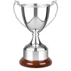 12 Inch Decorative Rim & Wooden Plinth Celtic Trophy Cup