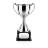 10 Inch Elegant Revolution Trophy Cup
