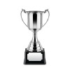 9 Inch Flat Sided Bowl Revolution Trophy Cup