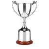 9 Inch Leaf Inlay Handles & Tall Plinth Endurance Trophy Cup