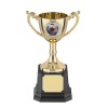 7 Inch Gold Finish Leaf Handle Worldwide Trophy Cup
