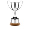 8 Inch Plain Handle & Gold Base Endurance Trophy Cup