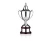 14 Inch Grand Cotswold Ultimate Trophy Cup