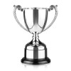 7 Inch Intricate Leaf Design Handle Endurance Trophy Cup