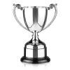 10 Inch Intricate Leaf Design Handle Endurance Trophy Cup