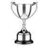 7 Inch Attractive Leaf Design Handle Endurance Trophy Cup