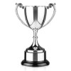 8 Inch Attractive Leaf Design Handle Endurance Trophy Cup