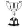 10 Inch Attractive Leaf Design Handle Endurance Trophy Cup