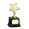 7 Inch Bright Finish Gold Bestway Star Award