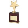 8 Inch Gold Finish Cased Timezone Star Award