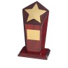 9 Inch Bright Gold Finish & Piano Wood Base Timezone Star Award