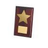 8 Inch Gold Finish Star Timezone Plaque