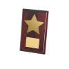 8 Inch Gold Finish Star Timezone Plaque