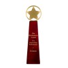 12 Inch Gold Star & High Gloss Rosewood Base Timezone Star Award