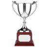 9 Inch Elegant Handle Endurance Trophy Cup