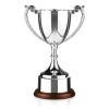 10 Inch Leaf Handle & Rosewood Base Endurance Trophy Cup