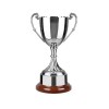 7 Inch Vintage Handles & Wooden Base Endurance Trophy Cup