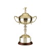 12 Inch Swinging Golf Figure Golf Stableford Trophy Cup