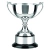14 Inch Shallow Bowl Patriot & Colonial Trophy Cup