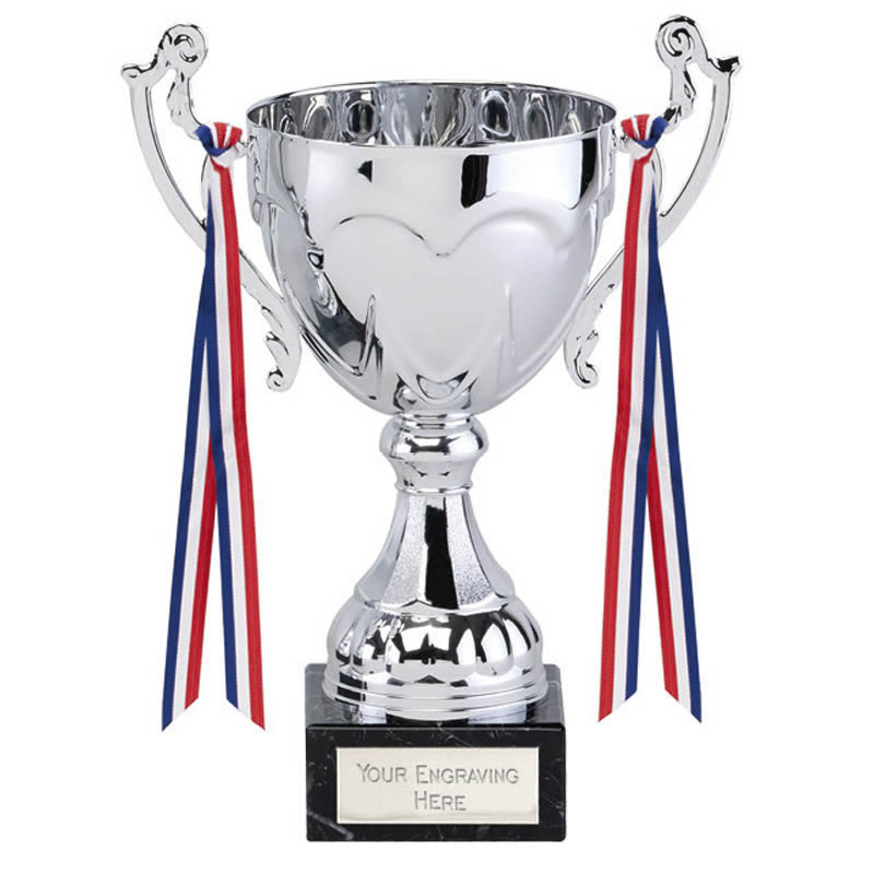 Tycone Silver Cup Presentation Award Trophy  13.5 Inch Free p&p & Engraving 