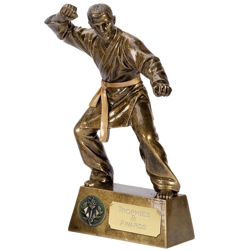 Master Of The Martial Arts Library 6 Inch Karate Master Martial Arts Pinnacle Statue