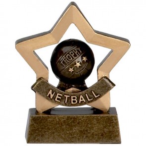 FREE Engraving Antique Gold & Silver Netball Trophy Award 152mm td RF180A 