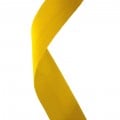 Yellow - +$2.59